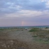 balazsh - 2011